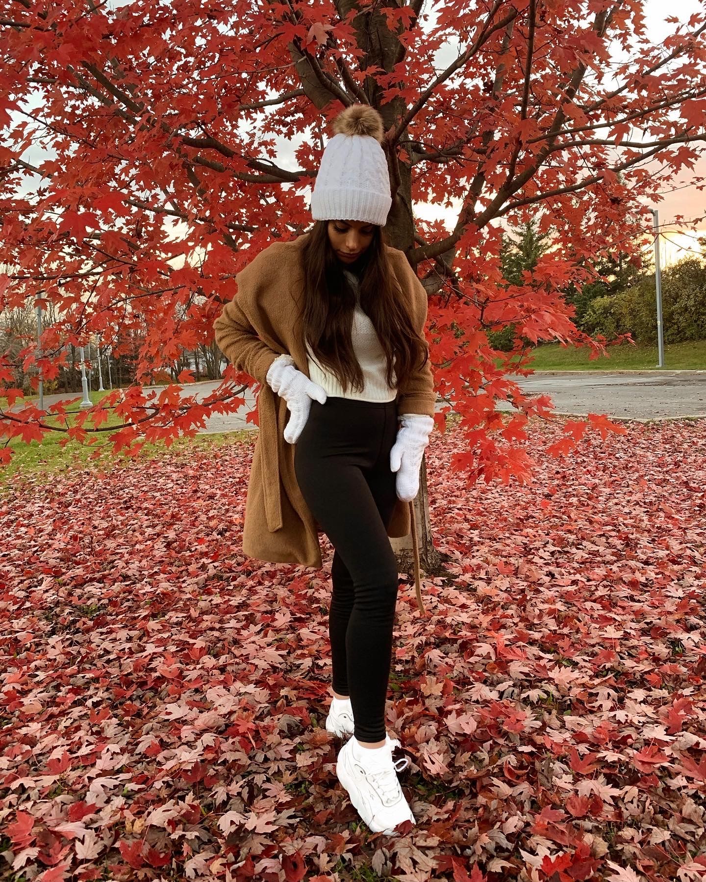 Black - Cozy Lined Leggings - Image 9
